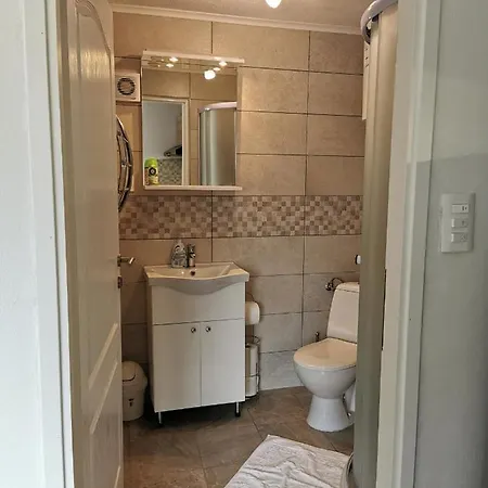 Apartment Mileta